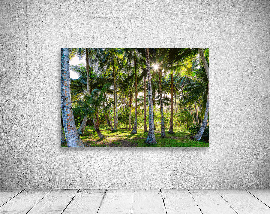 Jungle Paradise Sunshine Wall Preview