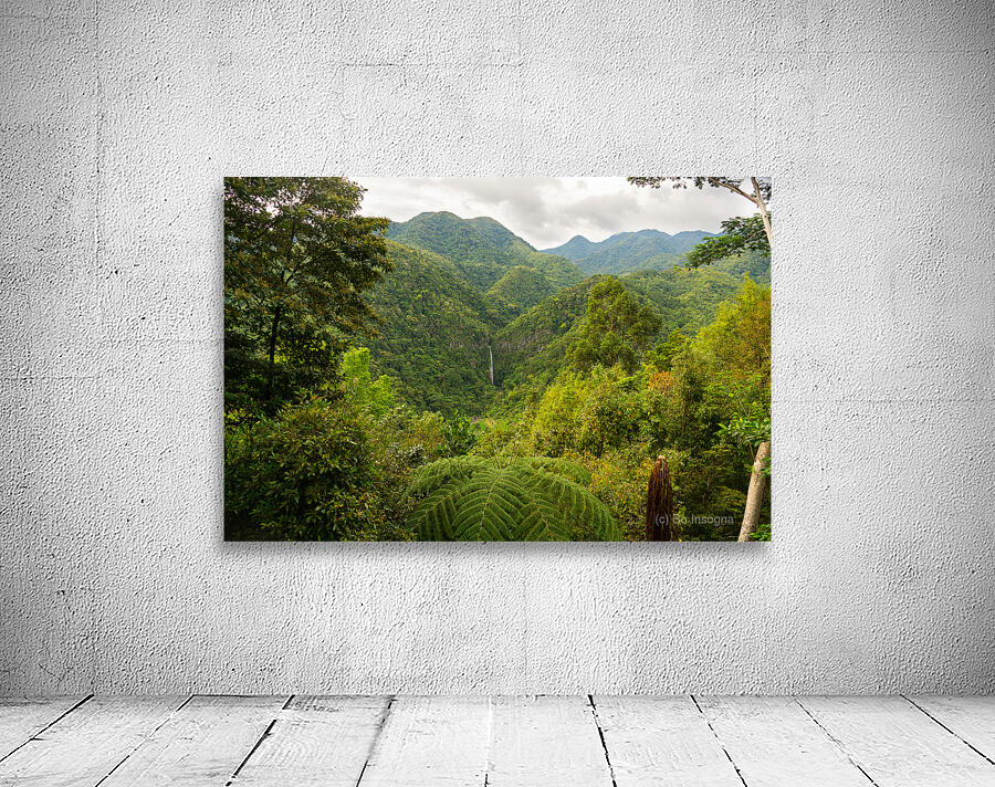 Whispers of the Malantan og Waterfall Hidden in Time Wall Preview