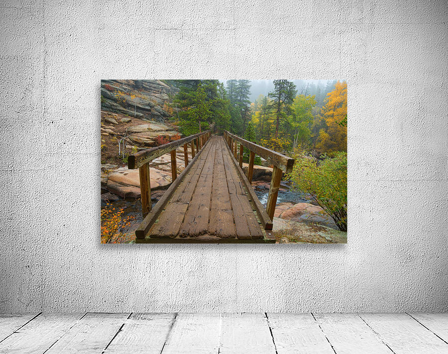 Rustic Wood Hiking Bridge Crossing Wall Preview