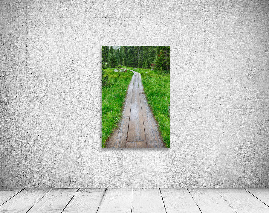 Wooden Forest Path Wall Preview