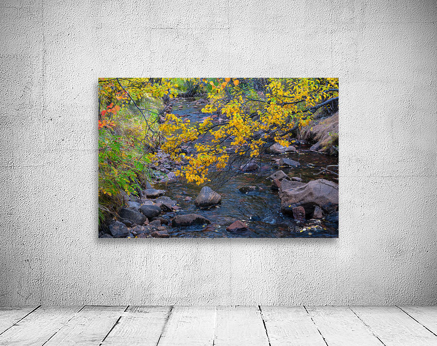 Golden Stream Wall Preview