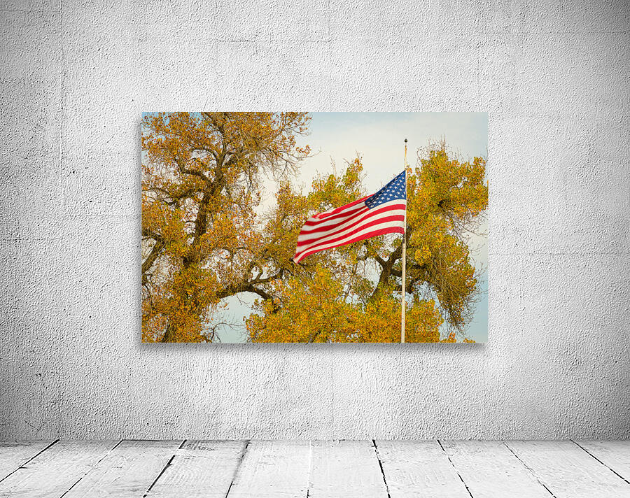 Glory Glory Wall Preview