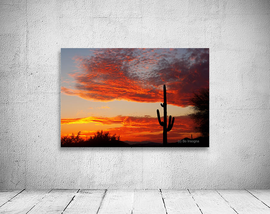  Fiery Arizona Sunset Behind a Silent Saguaro Wall Preview