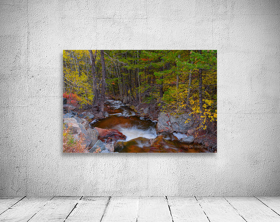 Tranquil Autumn Creek in a Rocky Mountain Forest Wall Preview