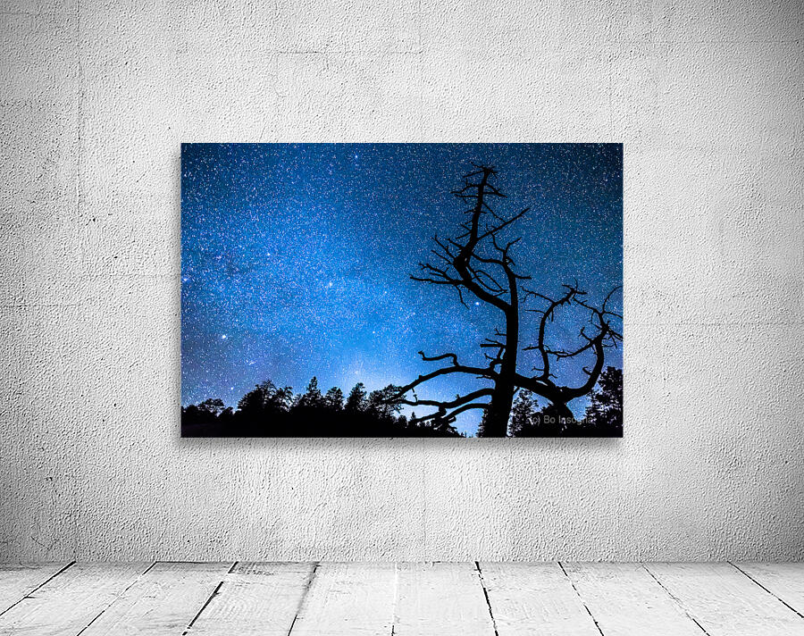 Starry Night at Bryce Canyon Wall Preview