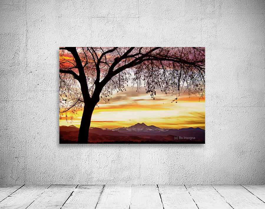 Colorado Sunset with Twin Peaks and Tree Silhouette Wall Preview