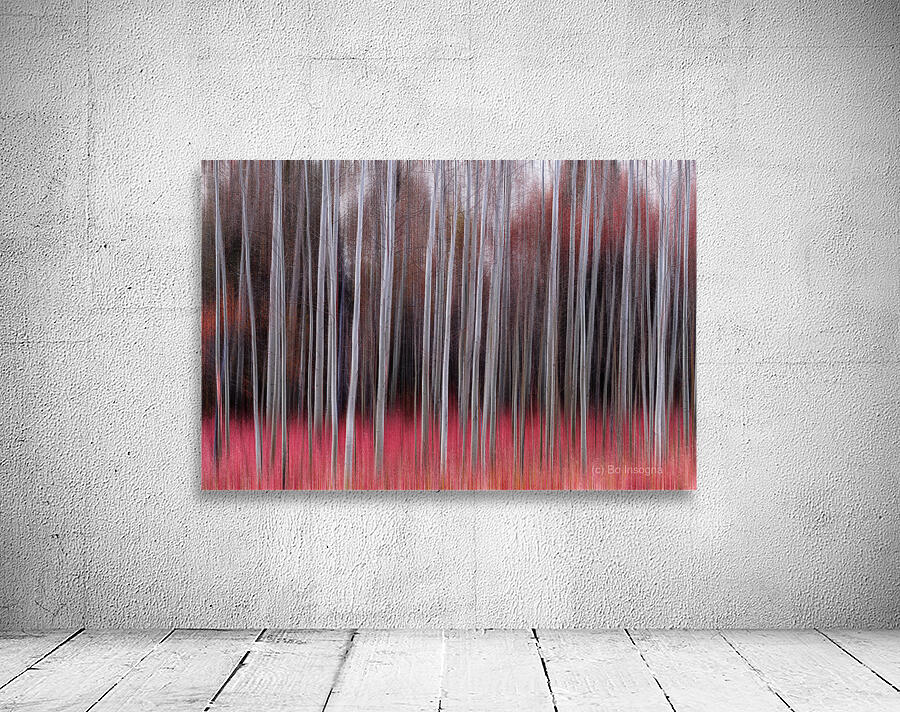 Crimson Silence in Motion Fine Art Forest Photography Print Wall Preview