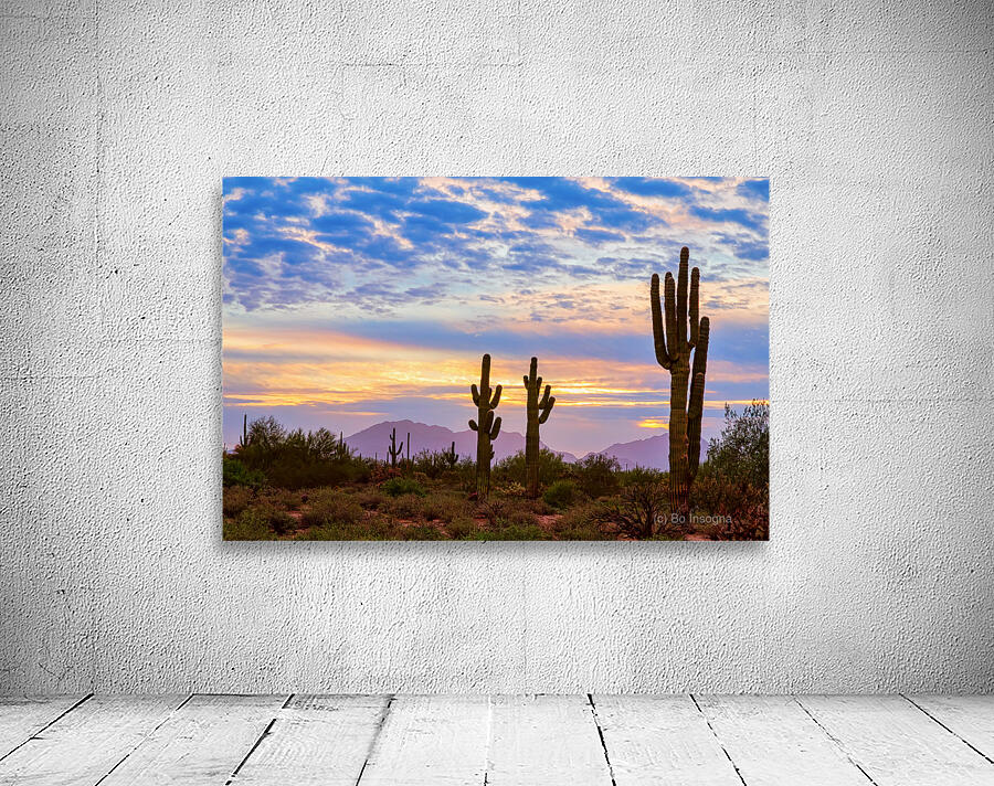 Colorful Sonoran Desert Sunrise in Beautiful Arizona Wall Preview