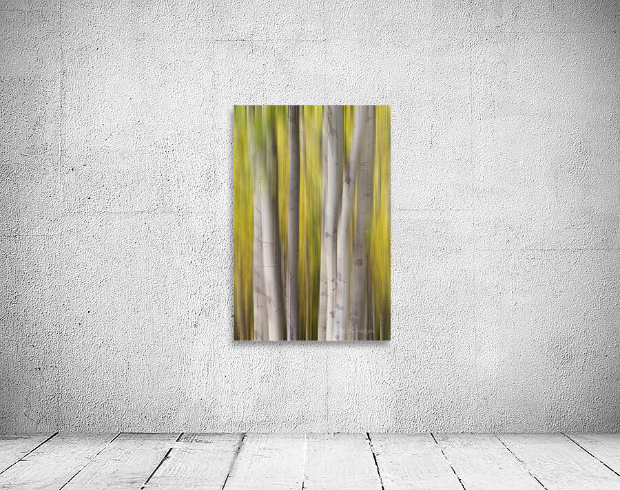Autumn Aspen Dreamscape Abstract Landscape Wall Preview