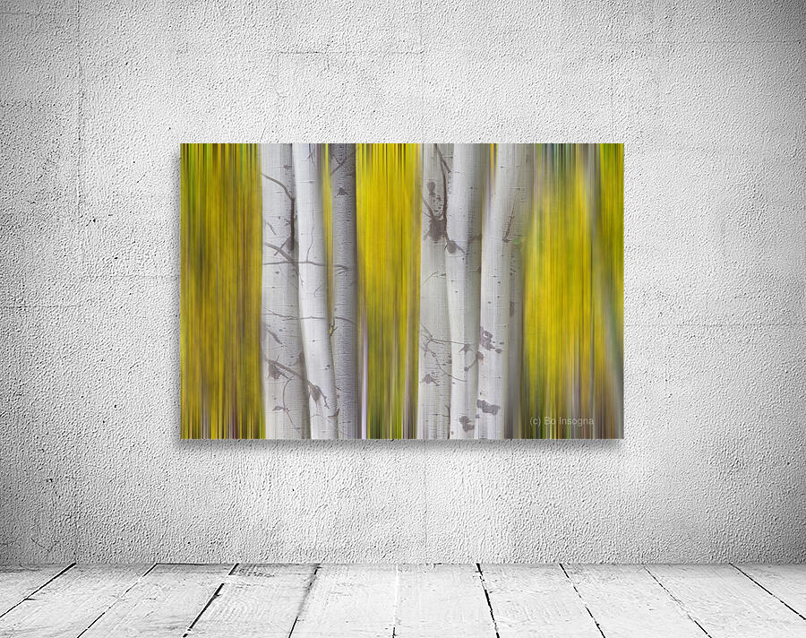 Golden Aspen Abstraction Fine Art Landscape Wall Preview