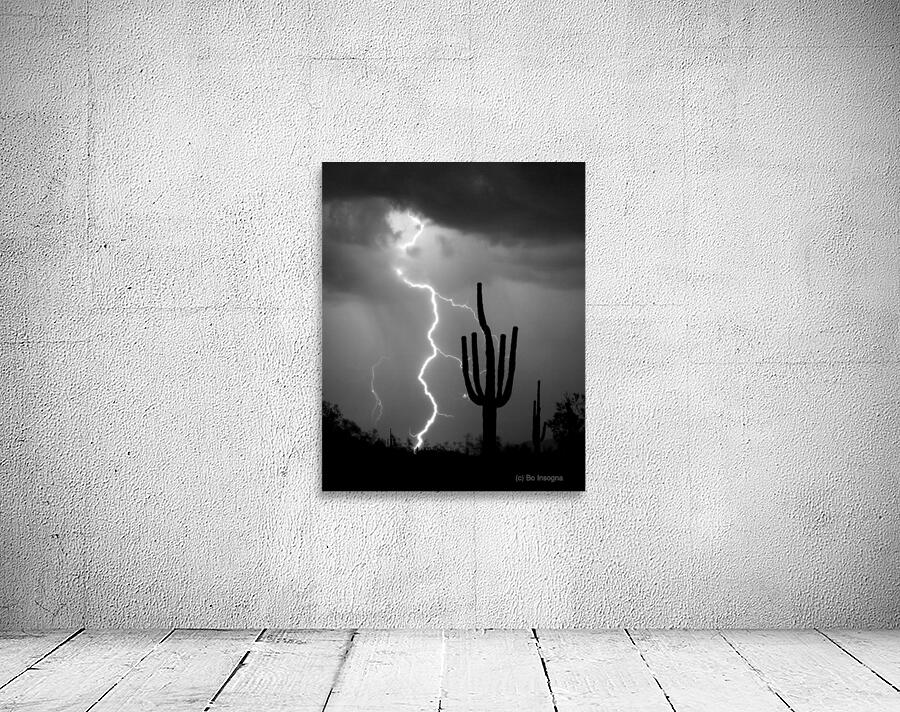 Black and White Lightning Over Arizona Desert Saguaro Wall Preview