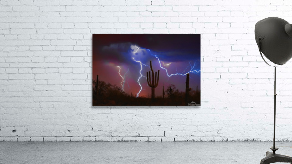 Saguaro Lightning Storm by Bo Insogna