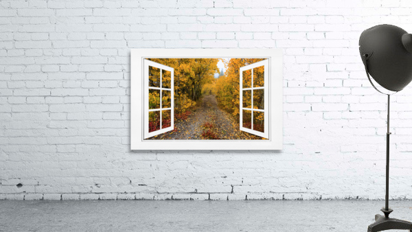 Colorful Trees Down the Drive White Open Window by Bo Insogna