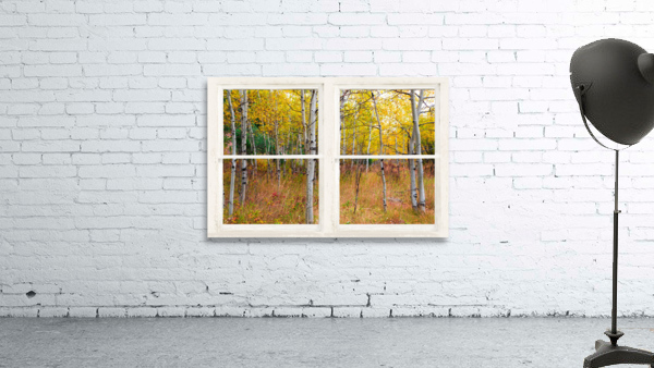 Happy Forest  Autumn Season Rustic Window View