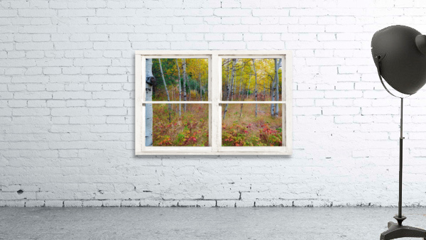 Autumn Forest Delight Rustic Window View