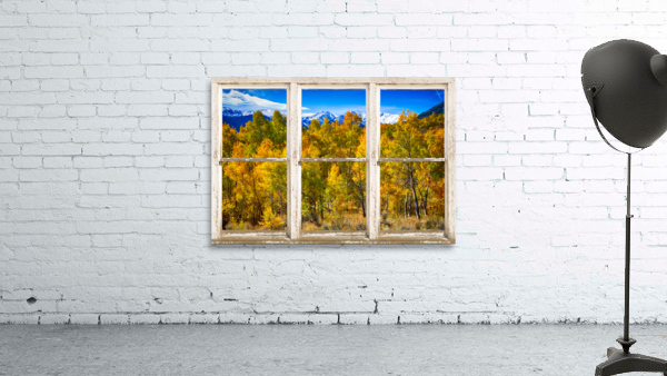 Independence Pass Autumn Colors White Barn Window by Bo Insogna