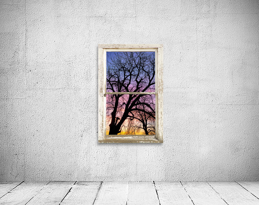 Colorful Tree White Farm House Window Portrai Wall Preview