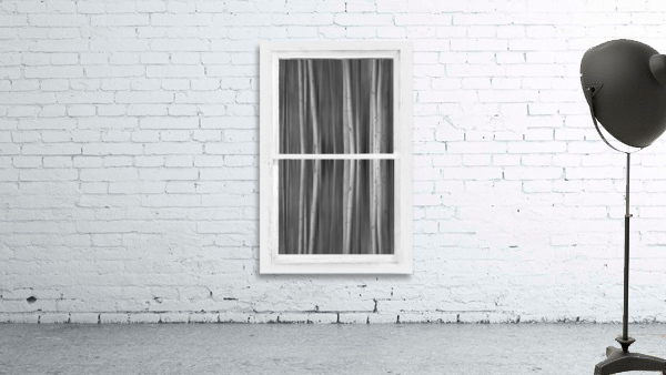 Surreal Dreamy Aspen Forest White Rustic Window Wall Preview