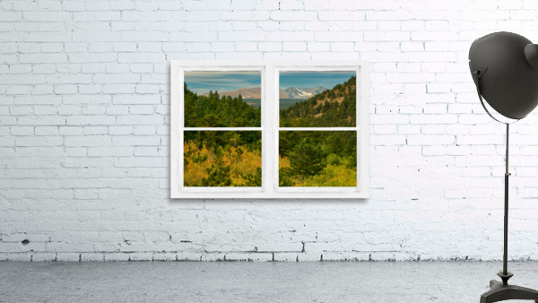 Rocky Mountain Whitewash Picture Window View by Bo Insogna