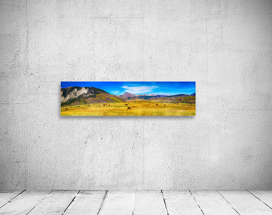 Crested Butte Panorama1 Wall Preview