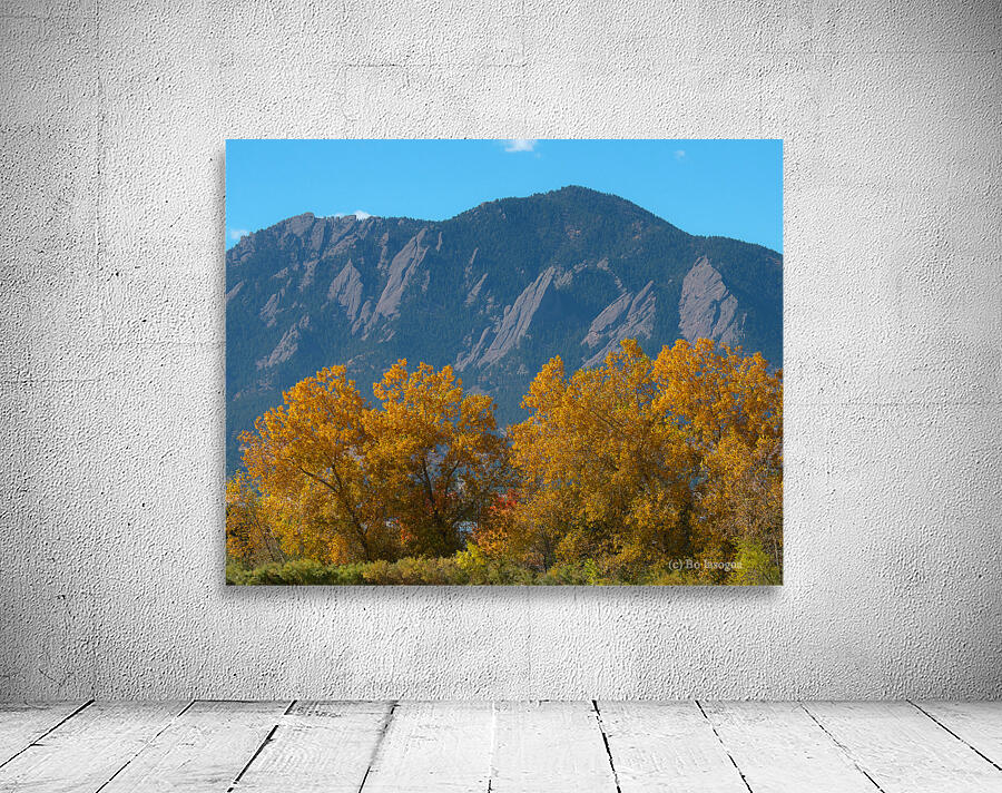 Boulder Flatirons Mighty Cottonwood Trees Wall Preview