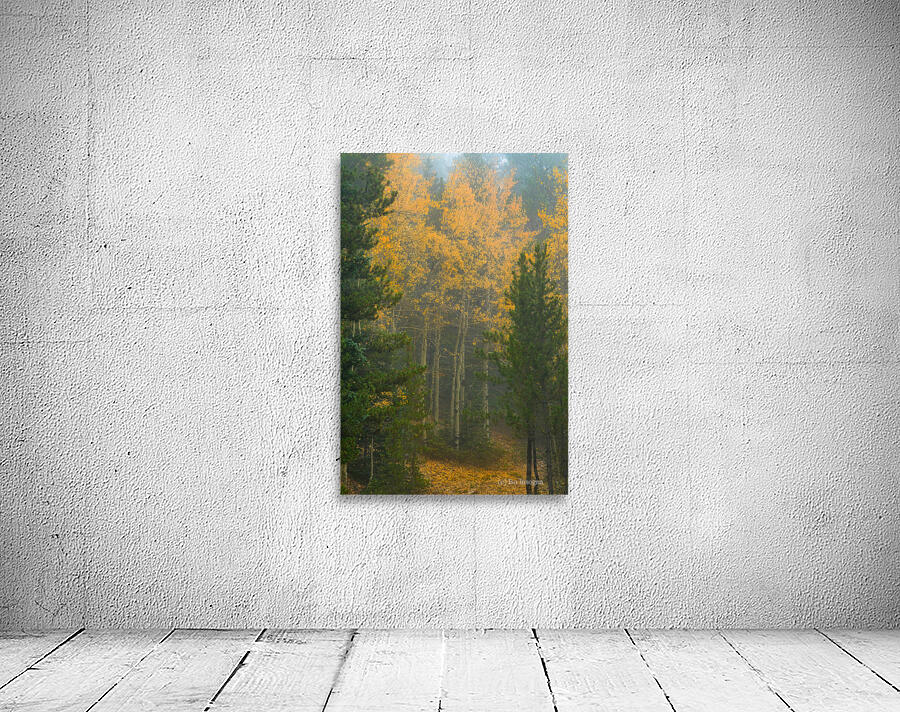 Gate Keepers Wall Preview