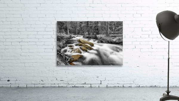Roosevelt National Forest Stream BW Selective Wall Preview