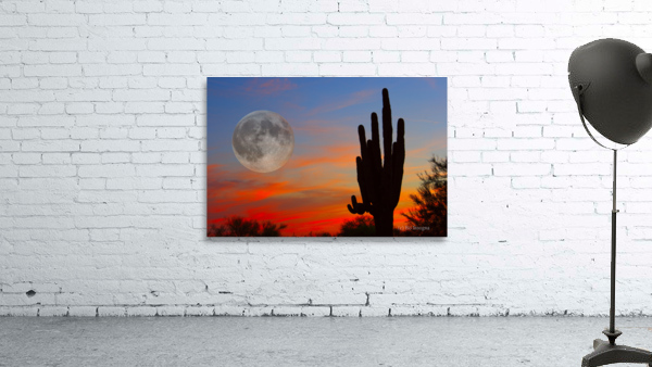 Full Moon Big Saguaro Sunset