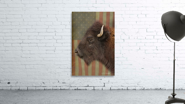 American Bison Profile Wall Preview