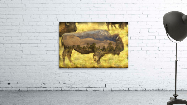 Buffaloe Sand Dunes Wall Preview