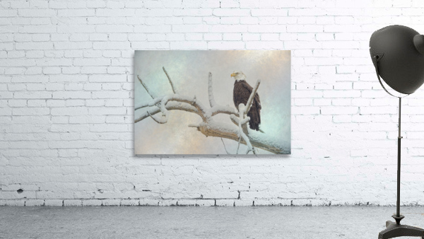 Eagle Eye Wall Preview