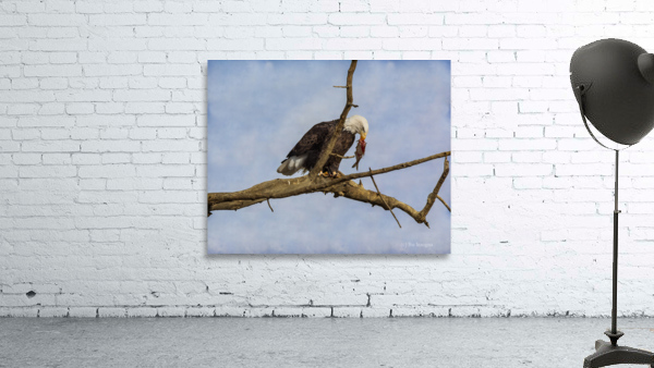 fish anyone Wall Preview