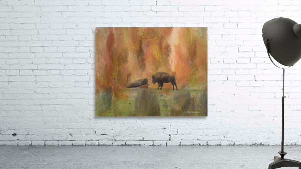 Buffalo Calf Tender Moment by Bo Insogna