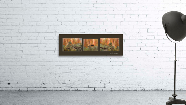 Bison Moment Wall Preview