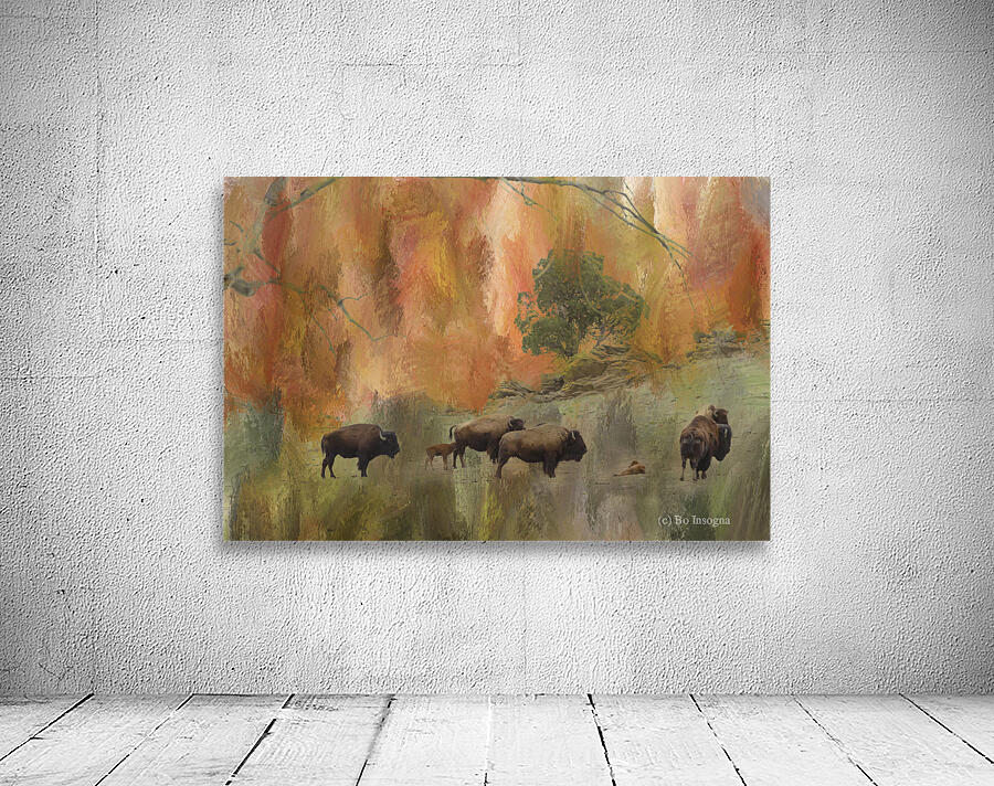 Springtime Bison Calves Wall Preview