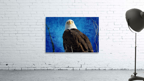 American Bald Eagle Blues Wall Preview