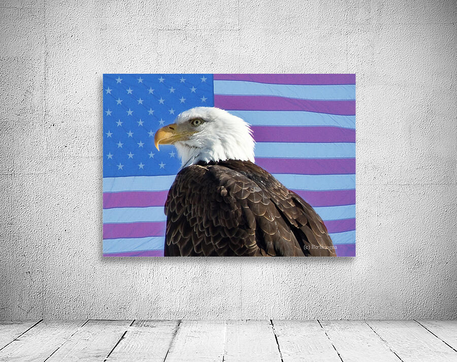 American Eagle 2 Wall Preview