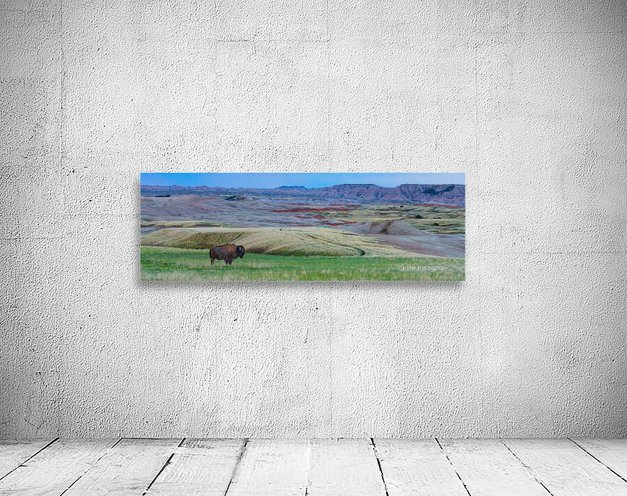 The Majestic Bison -  Roaming the Colorful Badlands of SD Wall Preview