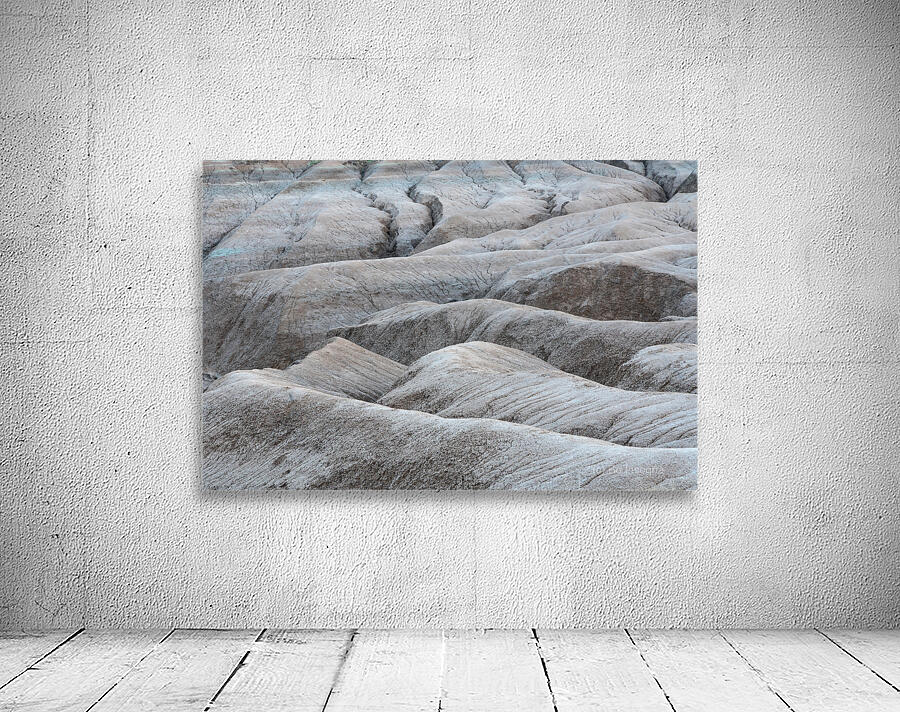 Unveiling Natures Timeless Tapestry Wall Preview