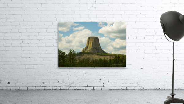 Majestic Devils Tower in Wyoming Amidst Pine Forest