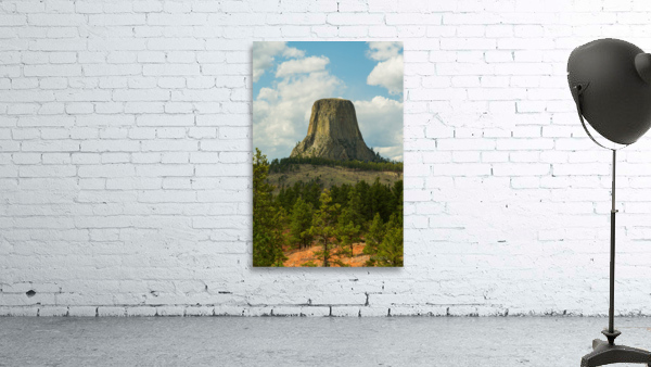 Majestic Devils Tower in Wyoming Surrounded by Pine Forest by Bo Insogna