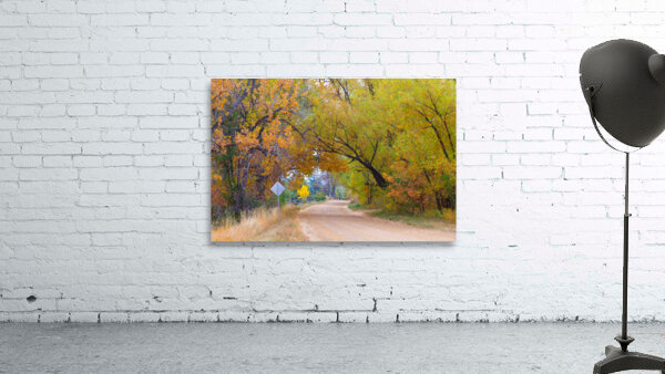 Autumns Enchantment - The Country Road Canopy Wall Preview