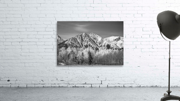 Rocky Mountain Autumn High In Black and White by Bo Insogna