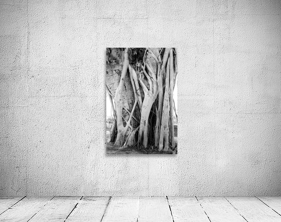 Tropical Tree Vibes Wall Preview