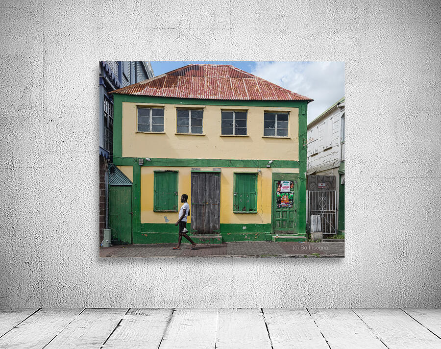 Vibrant Colors and Textures of Caribbean Island Life  Wall Preview