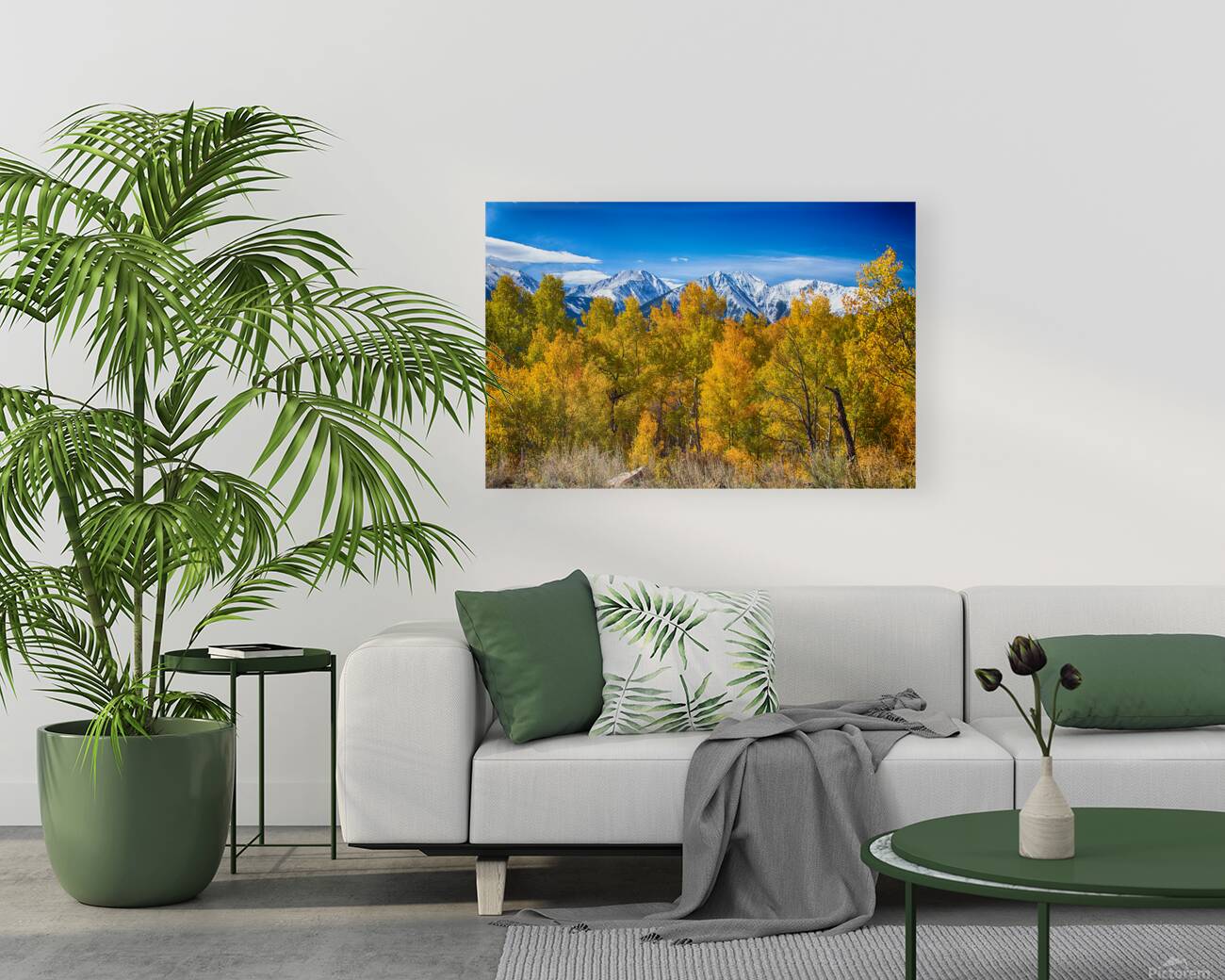 Independence Pass Autumn View Reproduction