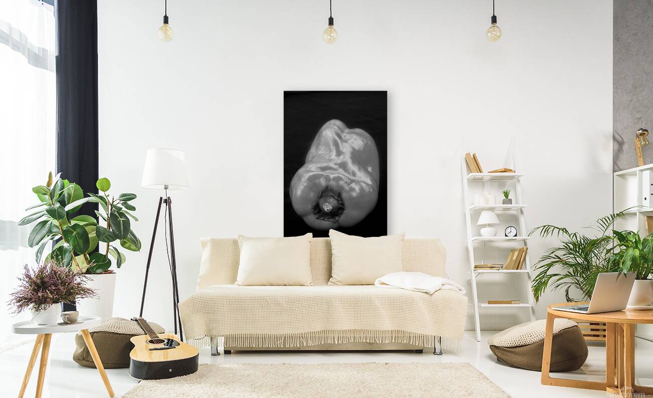 Red Pepper Bringing Sexy Back Black and White Reproduction