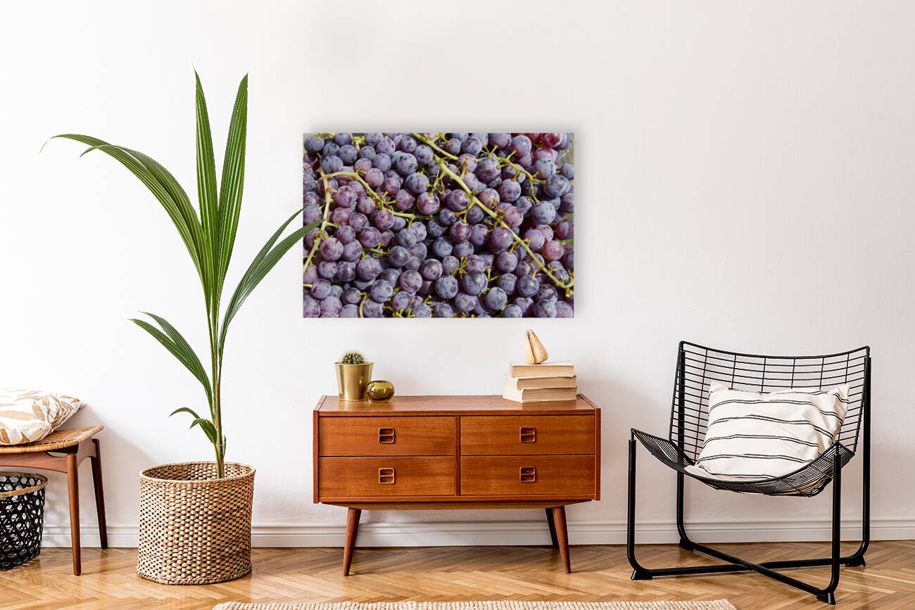 Grapes Up Cluse Reproduction