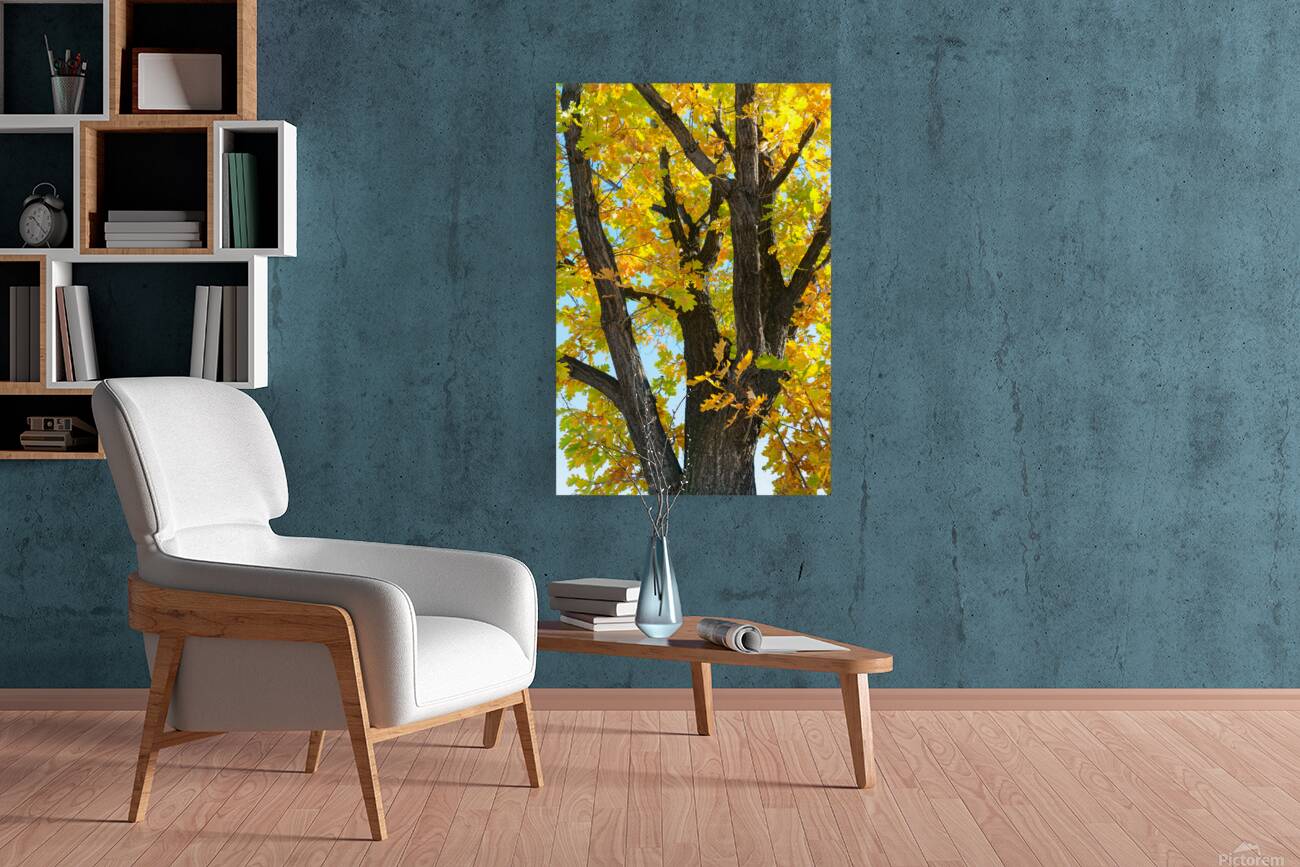 Some Un be leaf able Fall Vibes Reproduction