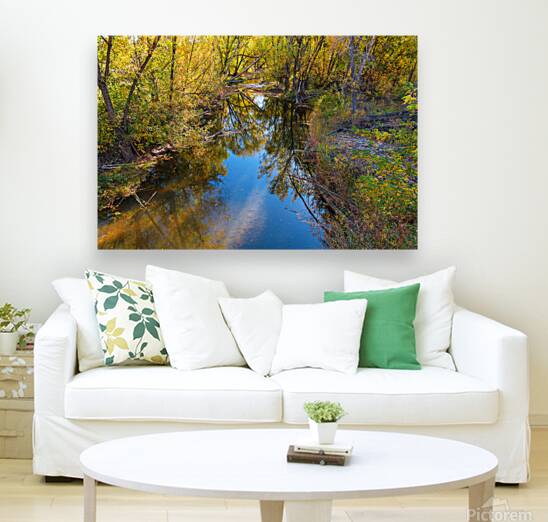 Reflections Time Reproduction